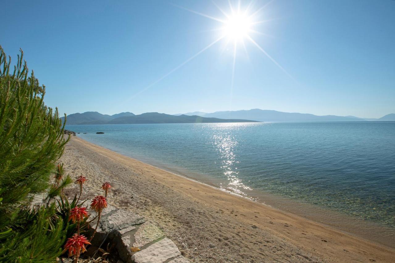 Kn Ionian Suites Nikiana Esterno foto